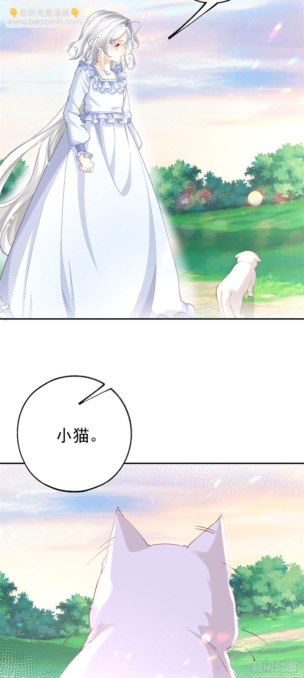 第262话 白猫的初登场21