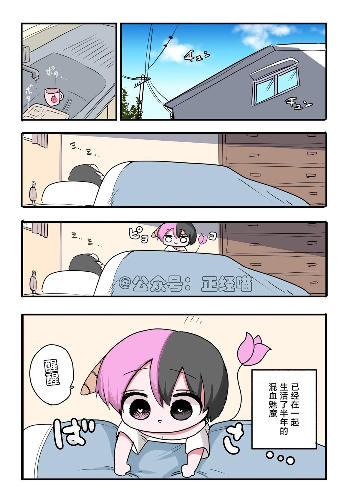 混血魅魔与购物010