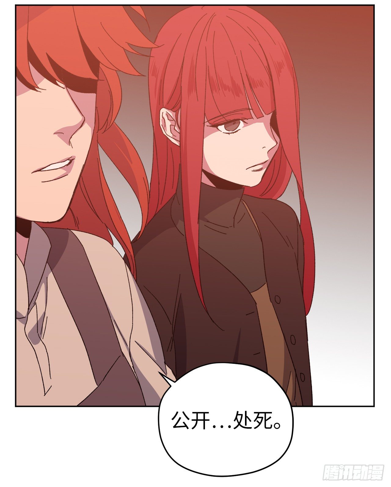 22.公开行刑20