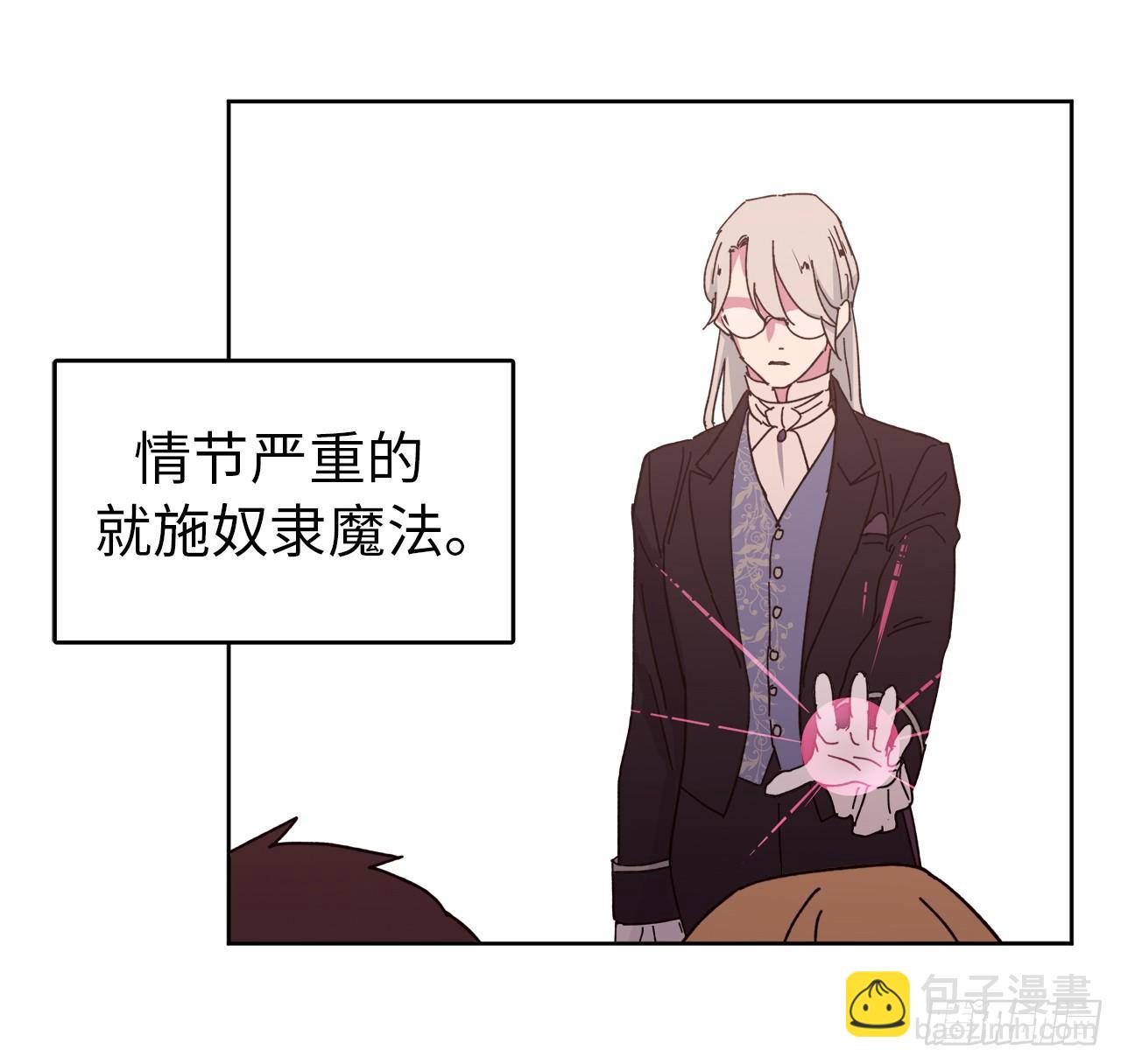 23.奴隶魔法26