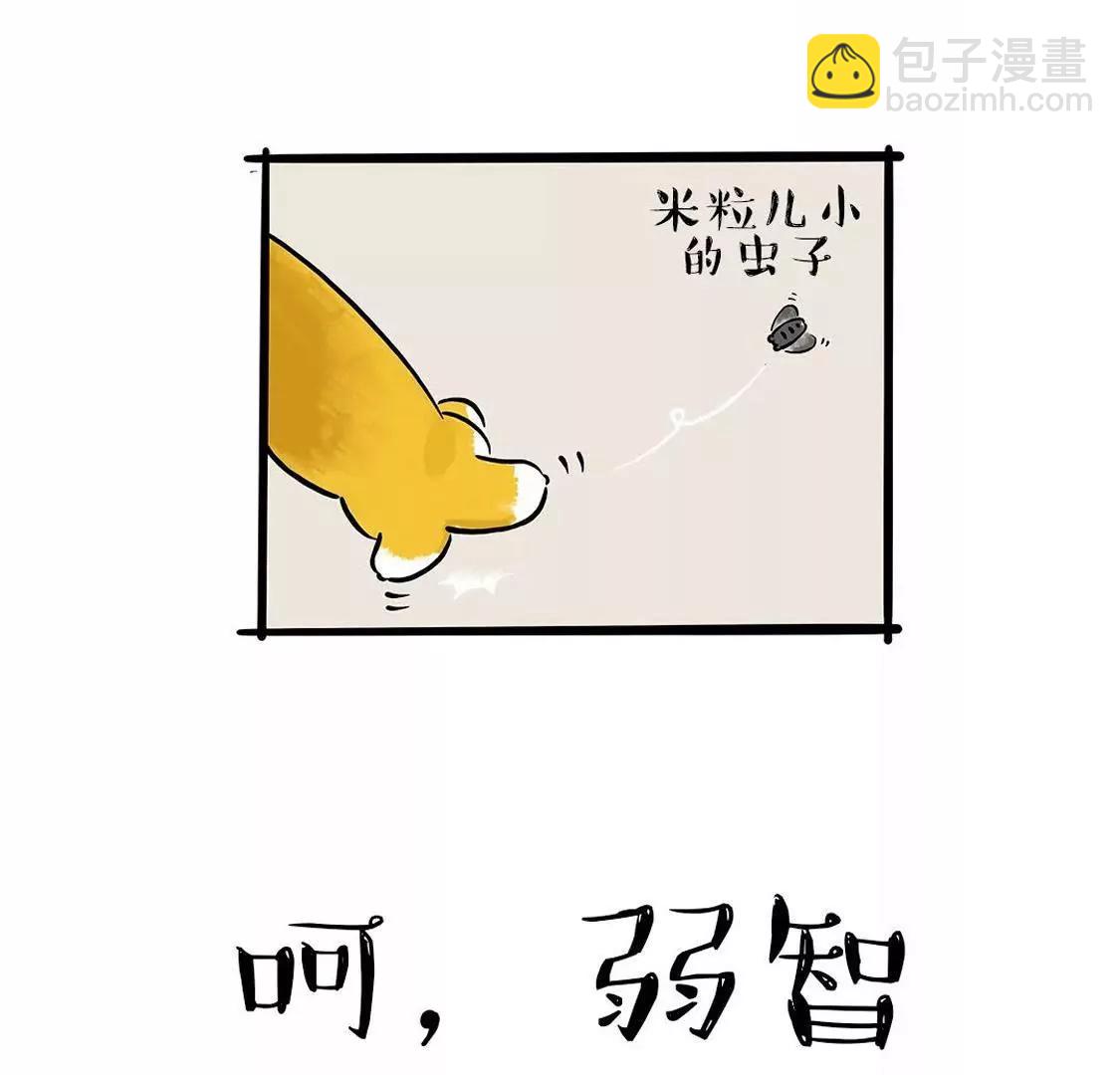 做大哥有时候也是一种悲桑6