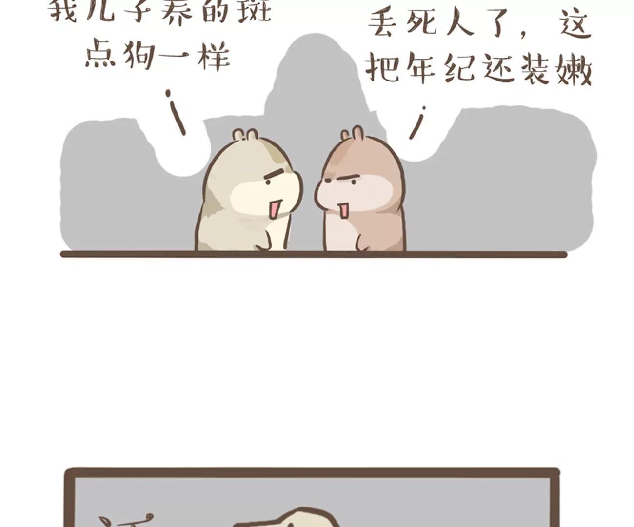 涂九门   花衬衫4