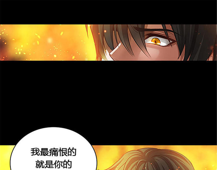 序1 爱与恨24