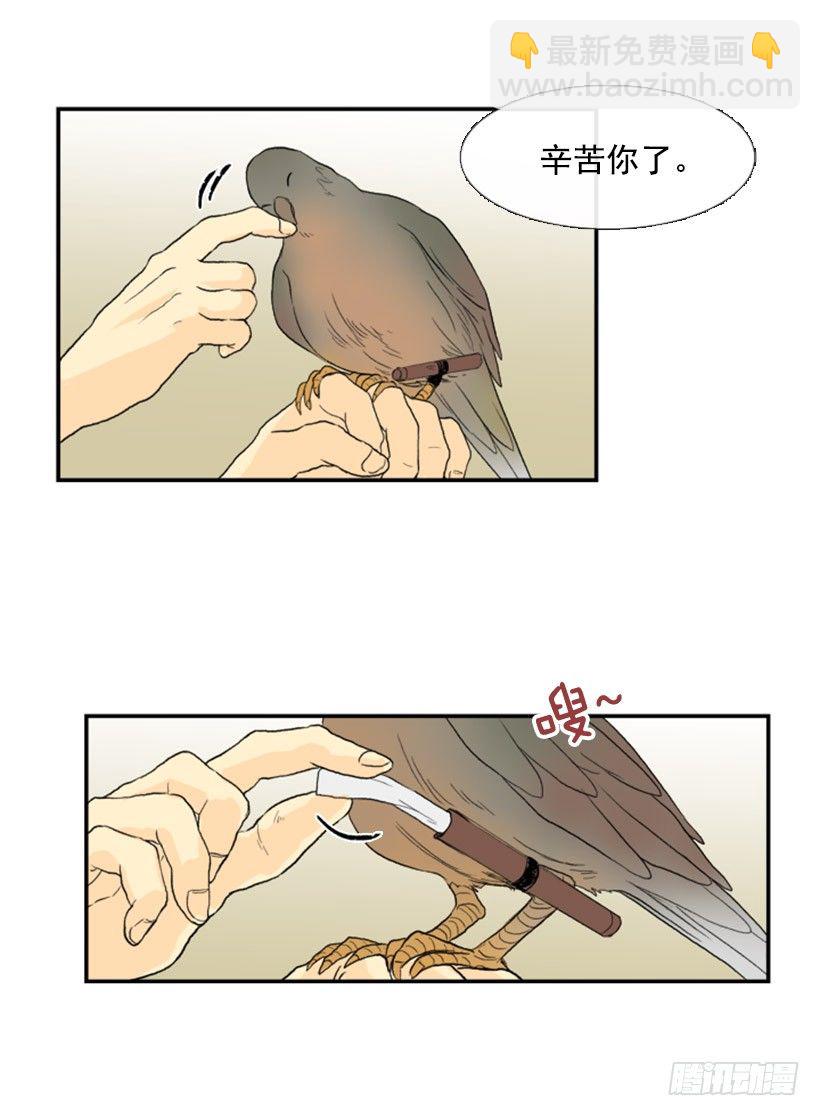 飞鸽传书6