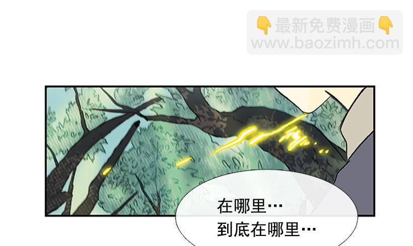 仙境5