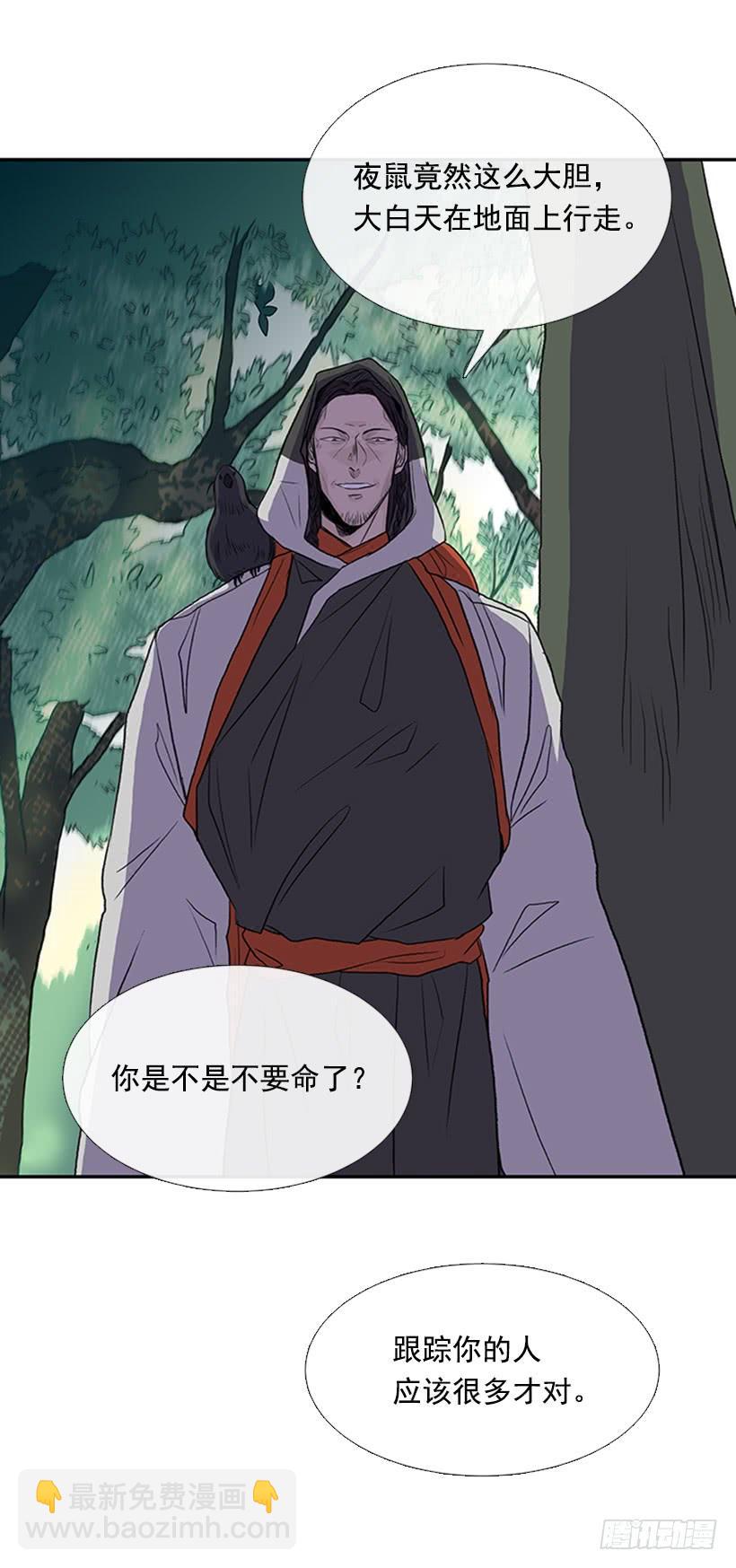 昼鸟11