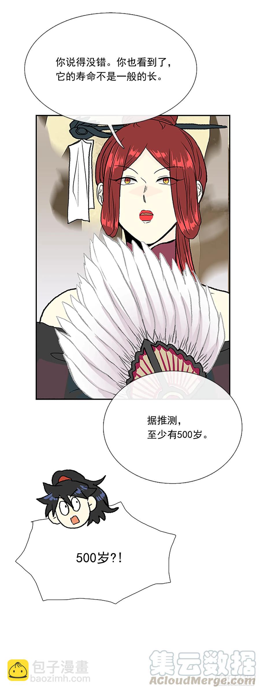 人面蜘蛛12