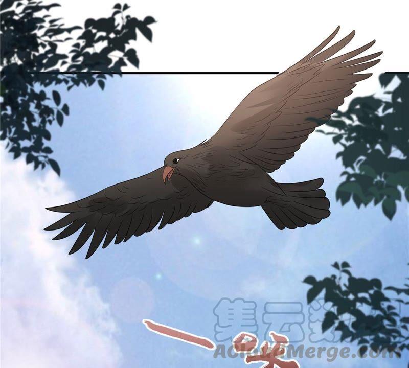第139话 这是朕的鸟！15