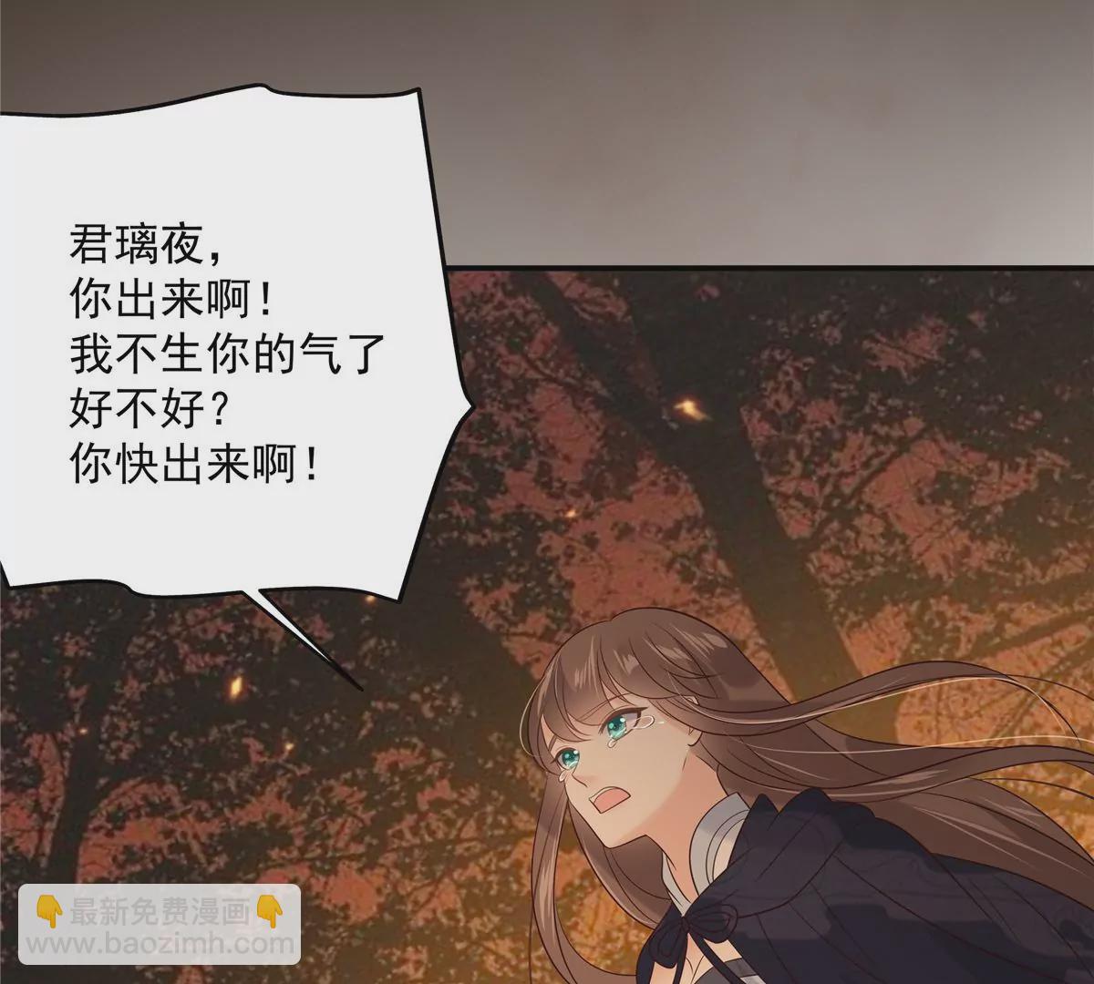 第153话 君漓夜，你在哪？38