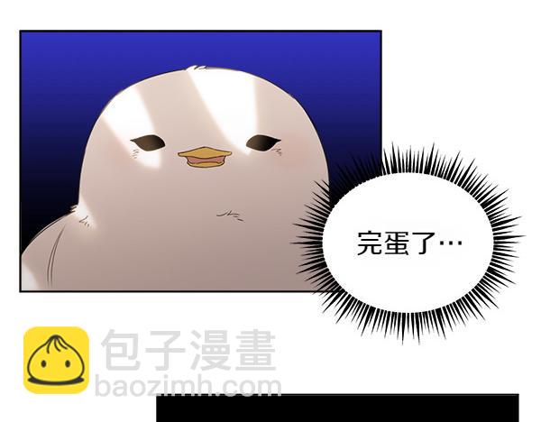 第5话 不一样的宠物11