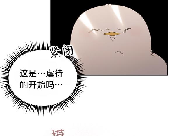 第5话 不一样的宠物12