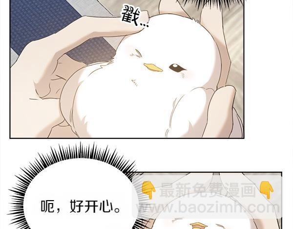 第5话 不一样的宠物20