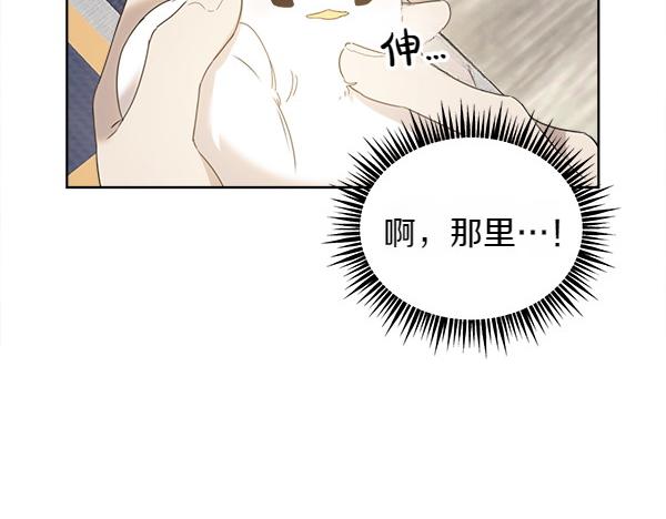 第5话 不一样的宠物22