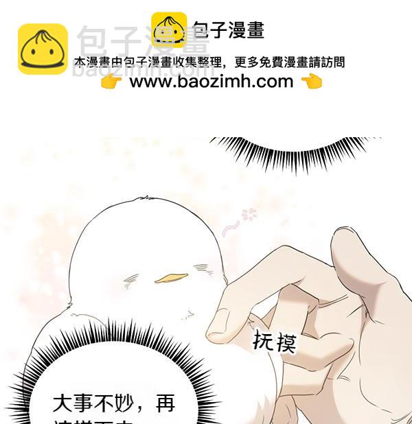 第5话 不一样的宠物25