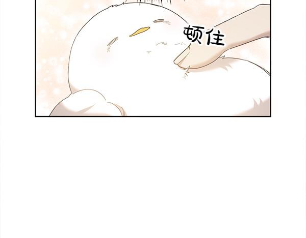 第5话 不一样的宠物27