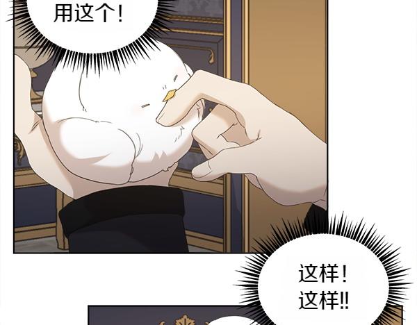 第5话 不一样的宠物34