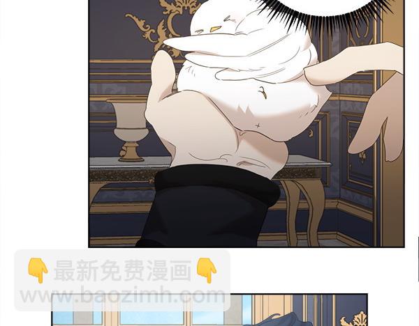 第5话 不一样的宠物35