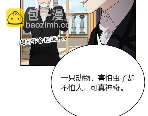 第5话 不一样的宠物41