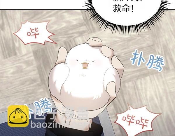 第5话 不一样的宠物6