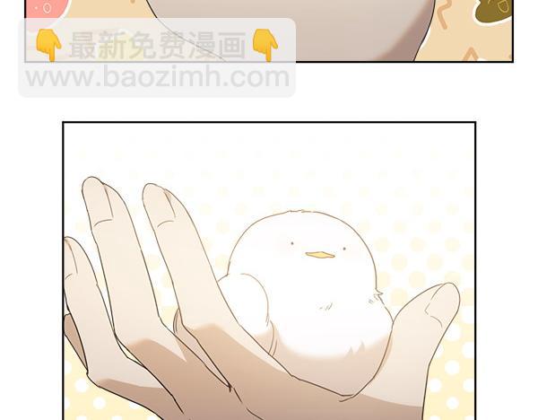 第5话 不一样的宠物61