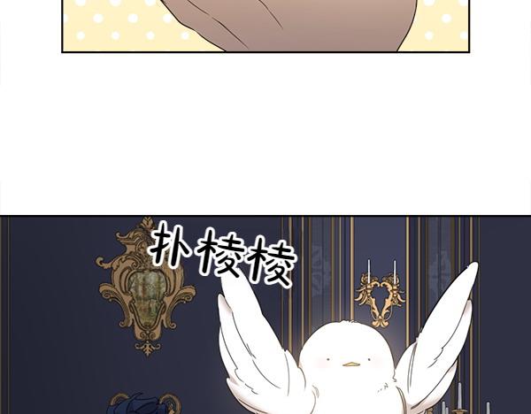 第5话 不一样的宠物62