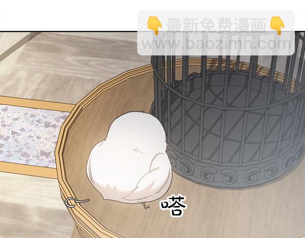 第5话 不一样的宠物64