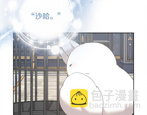第5话 不一样的宠物72