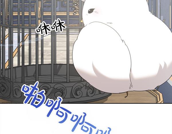 第5话 不一样的宠物74