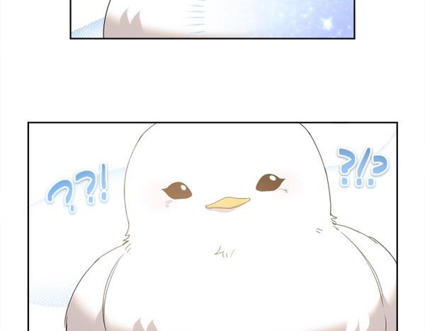 第5话 不一样的宠物76