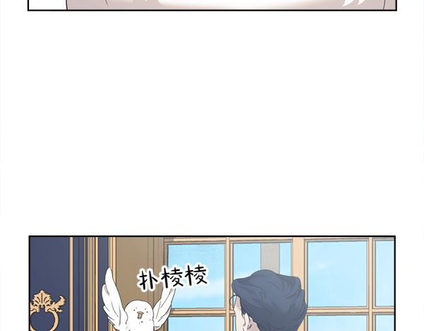 第5话 不一样的宠物77