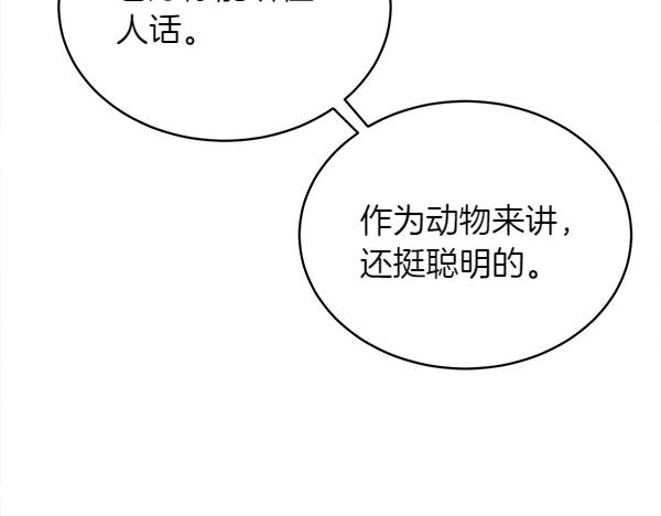 第5话 不一样的宠物83