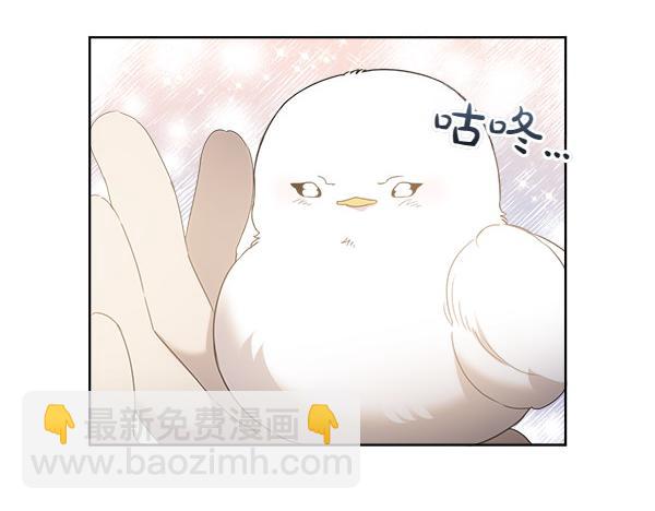 第5话 不一样的宠物97