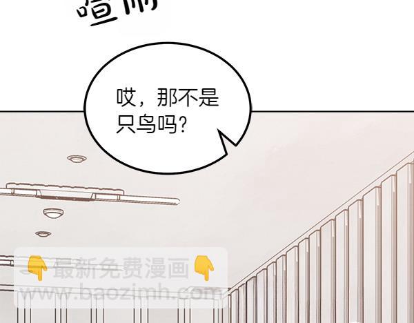 第27话 梦里的小鸟47