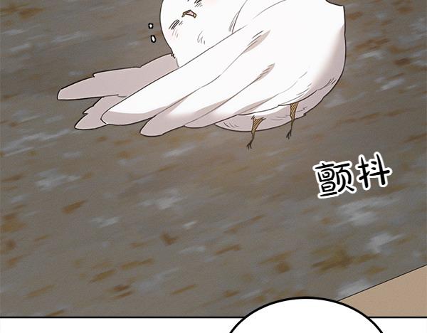 第27话 梦里的小鸟57