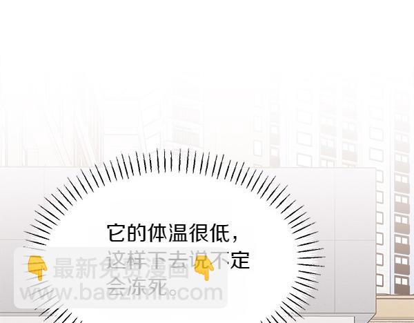 第27话 梦里的小鸟79