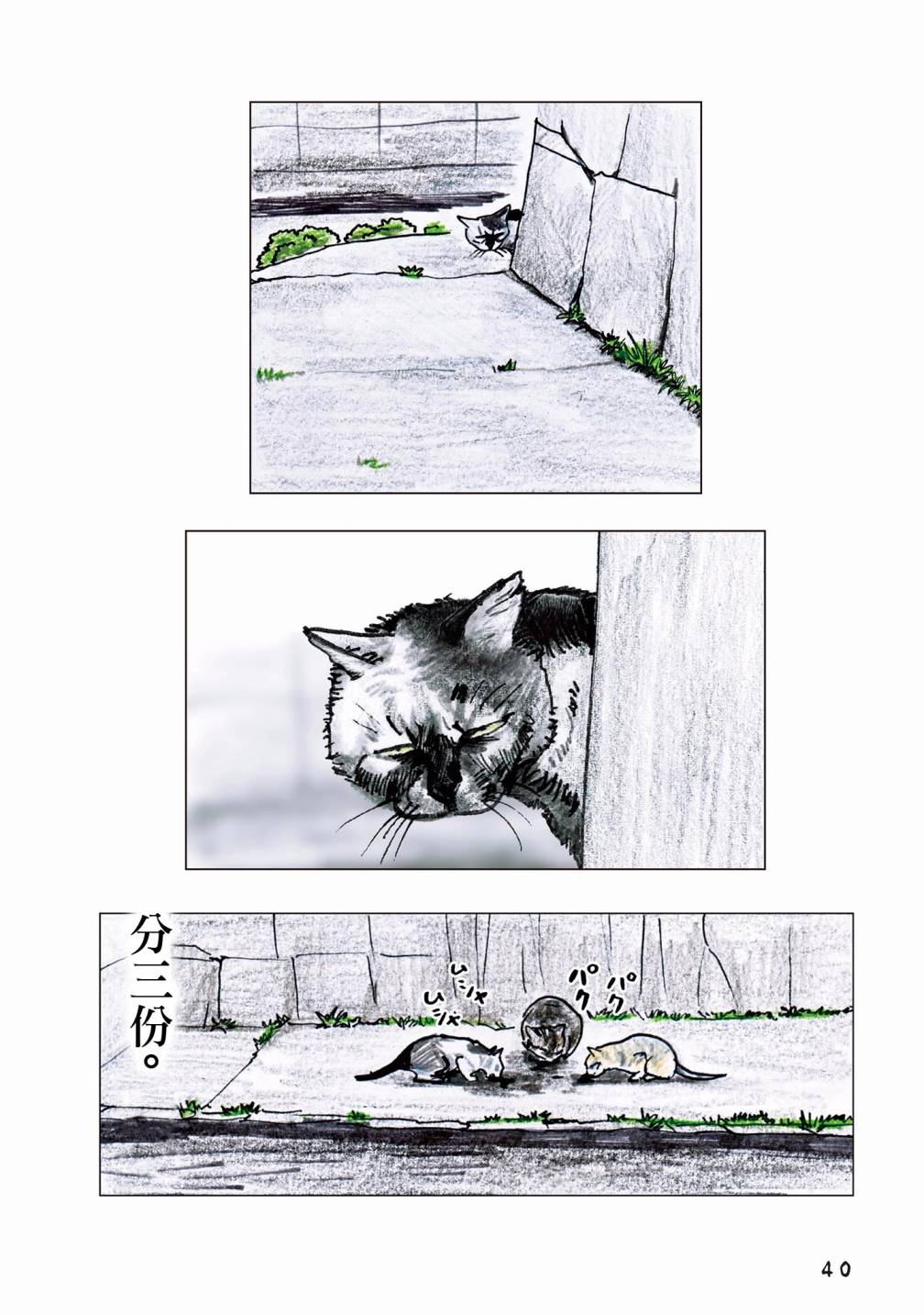 55话11