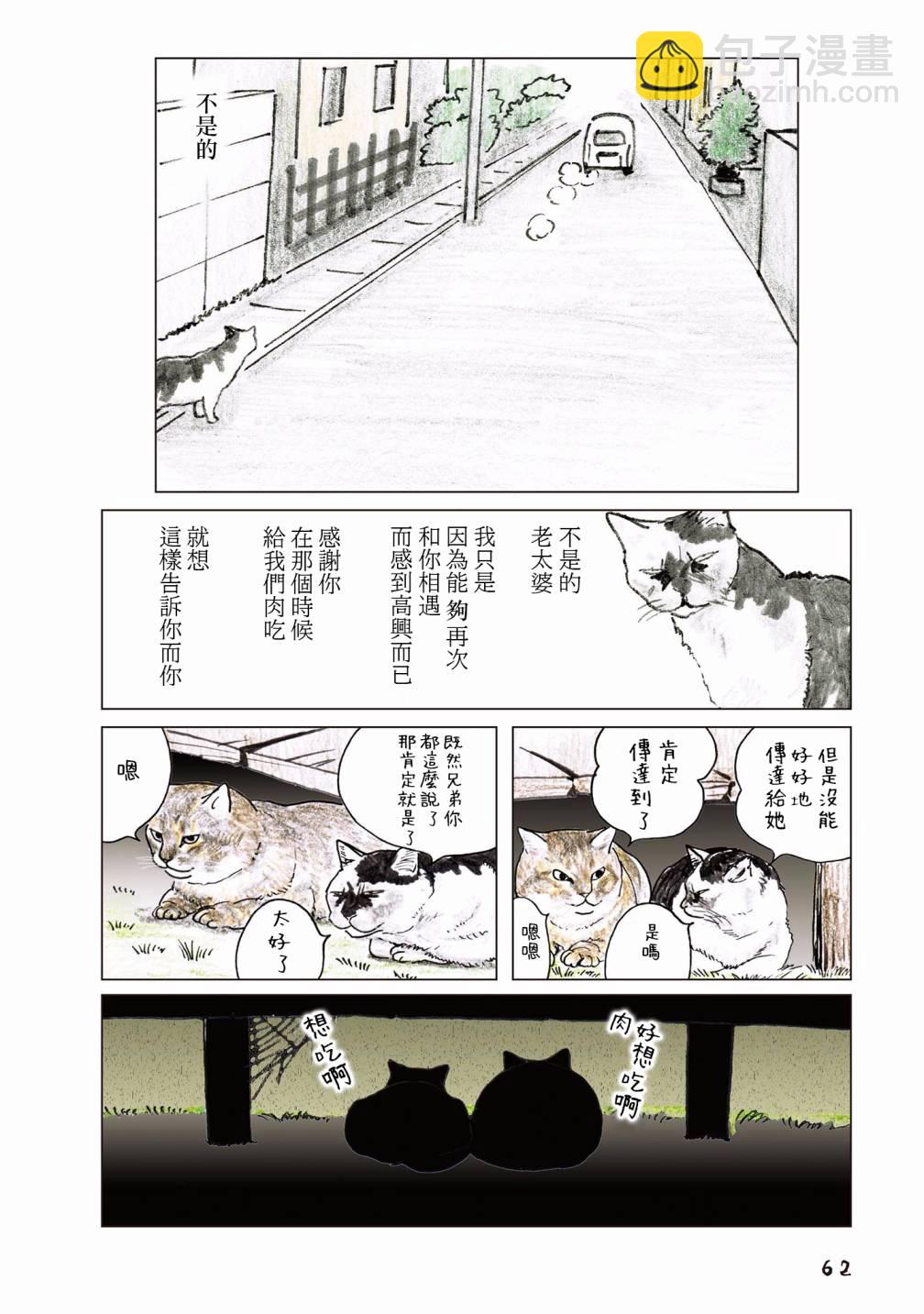 55话33