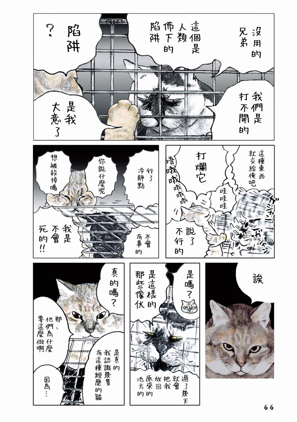 55话37