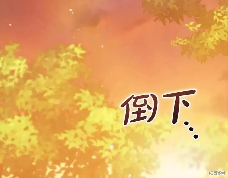 第53话224