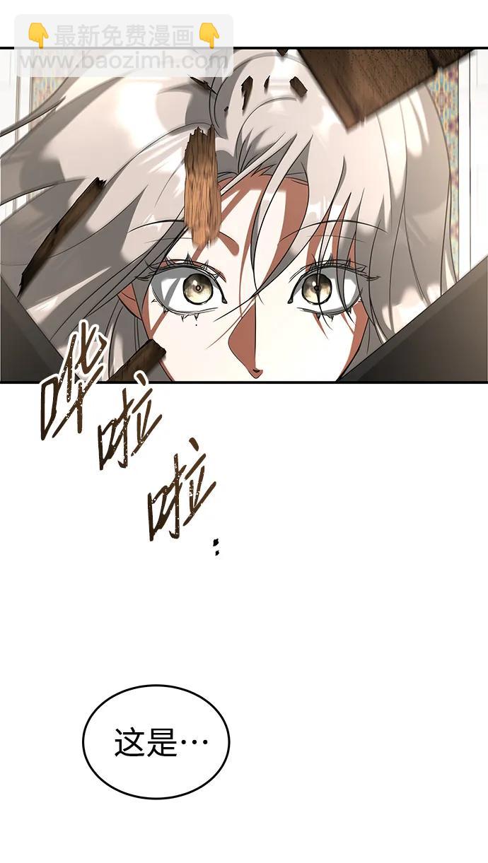 [第27话] 紫石，白血14