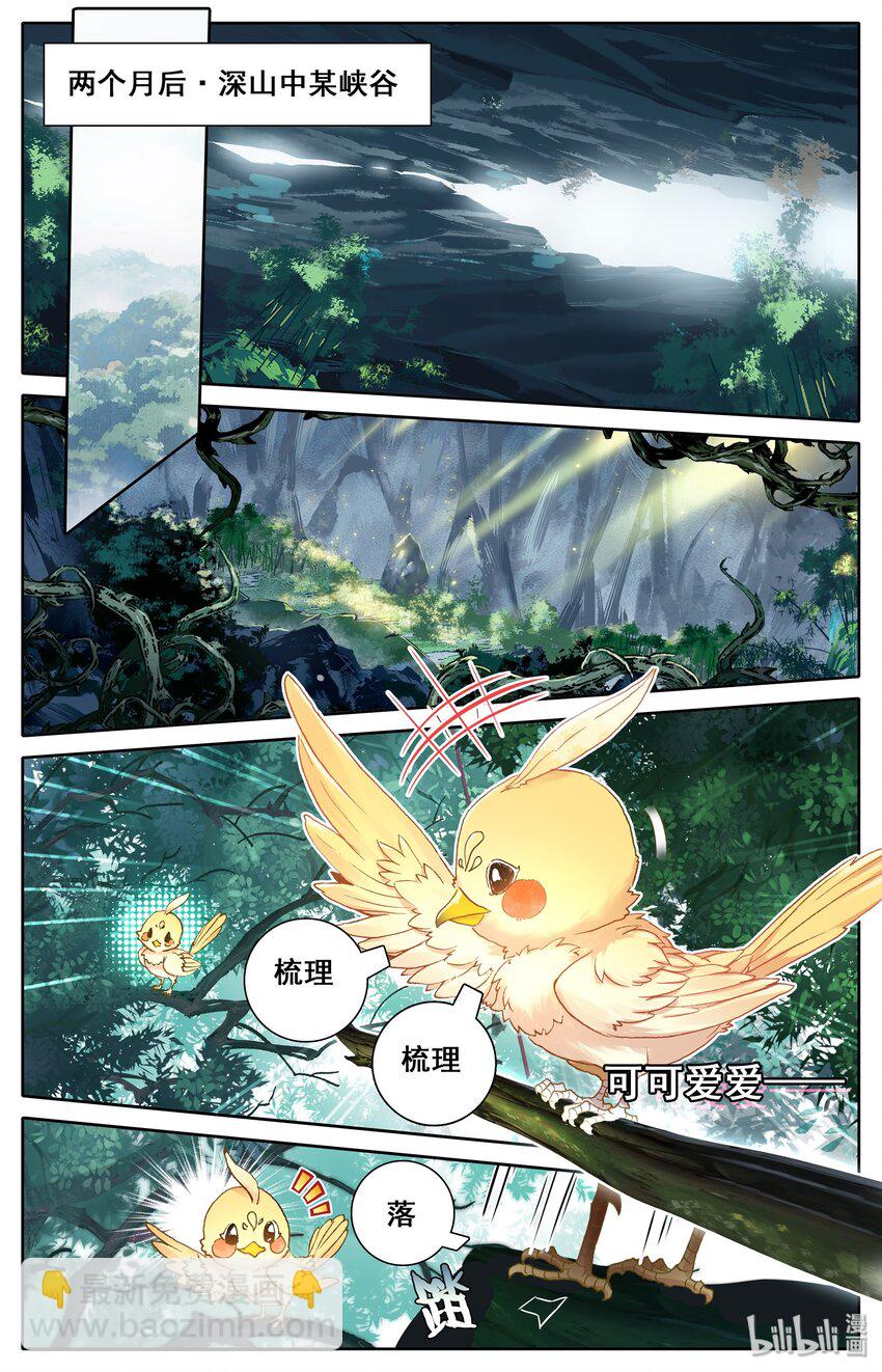 015 各自的准备15