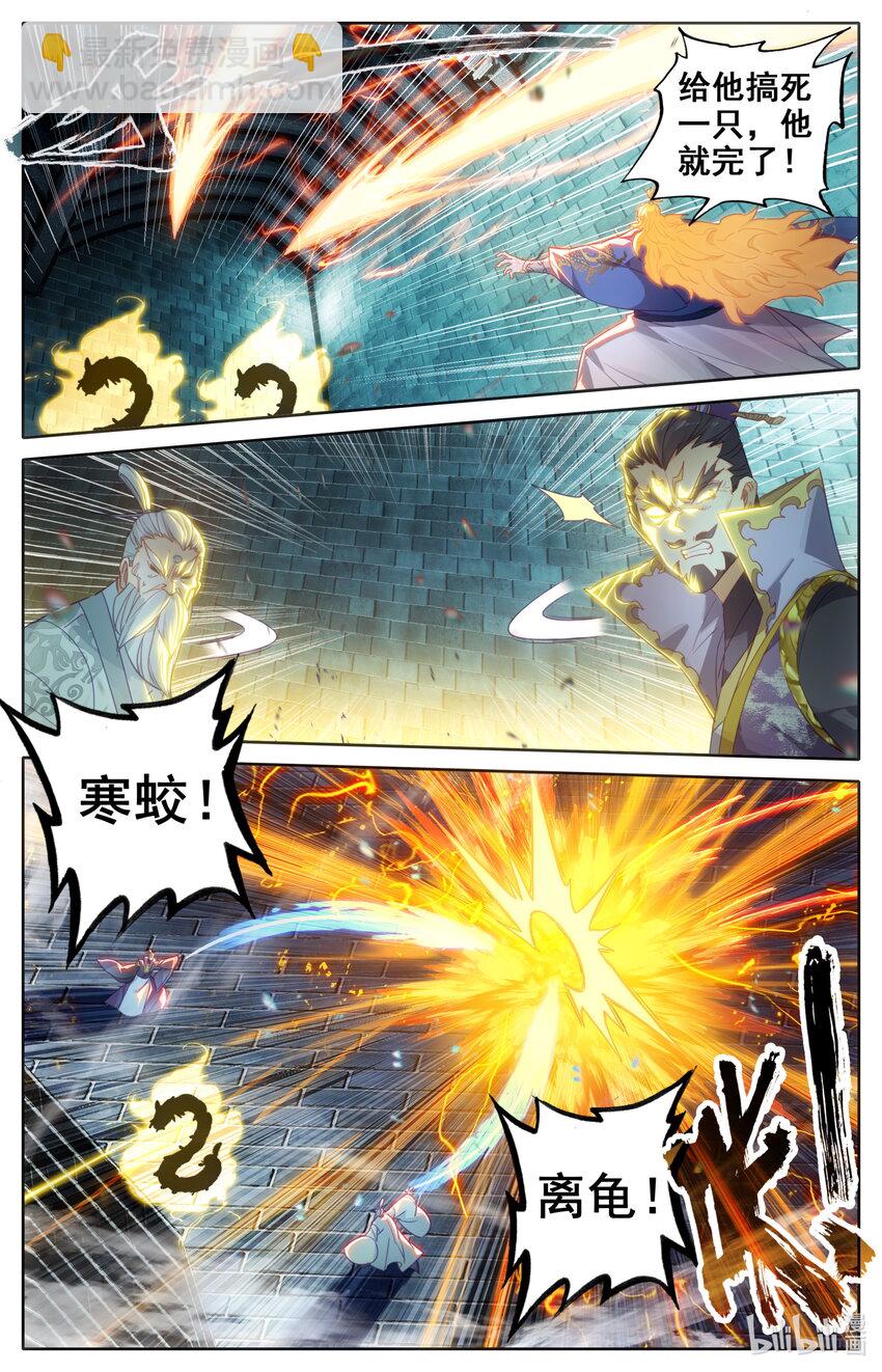 228 金丝蚕5