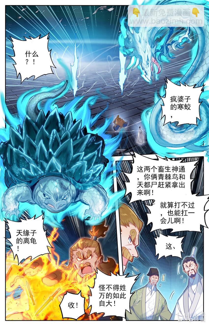 228 金丝蚕6