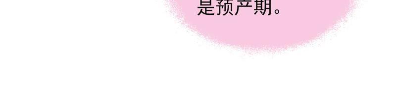 第41话 信19