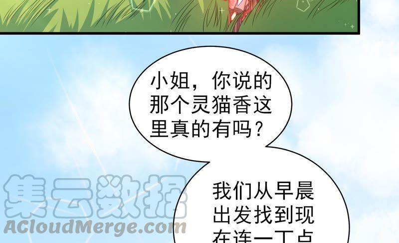 第120话 灵猫香64