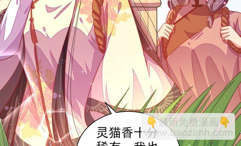 第120话 灵猫香66