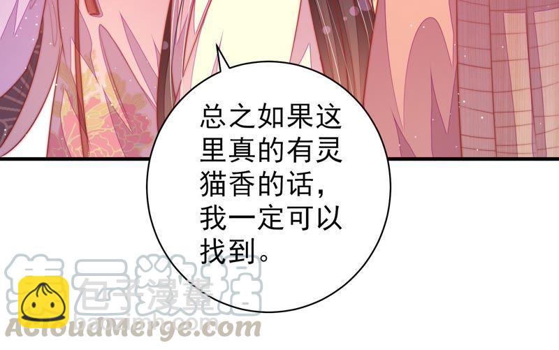 第120话 灵猫香72