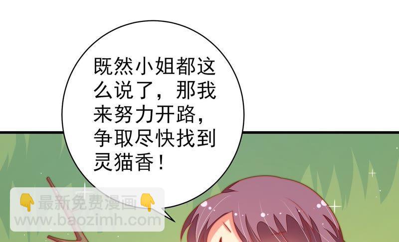 第120话 灵猫香73
