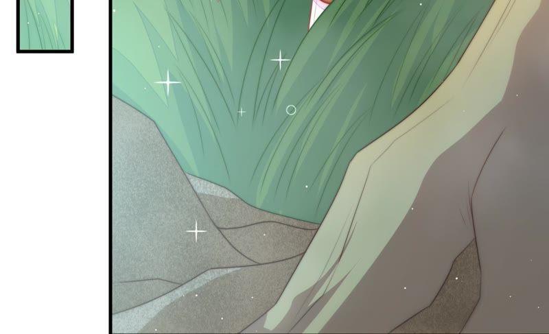 第120话 灵猫香77