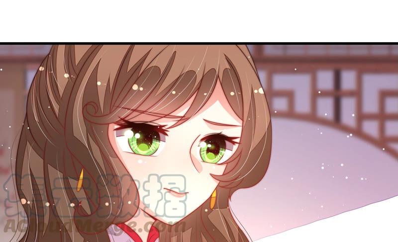 第174话 生日礼物80